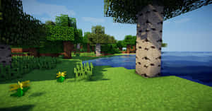Minecraft森林，有白樺樹、草地和湖泊，天空晴朗 — 我的世界苦力怕 壁紙