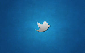 Twitter鳥標誌在藍色紋理背景上 — 推特 壁紙