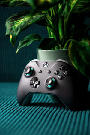 銀色Xbox控制器旁邊有一盆盆栽植物，置於青綠色紋理表面上。 — 植物美學 壁紙