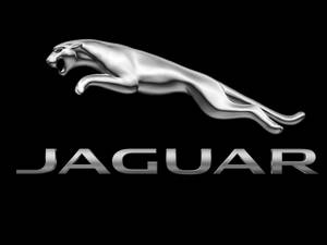 銀色美洲豹跳躍標誌，帶有「JAGUAR」文字，黑色背景。 — 美洲豹汽車 壁紙