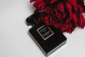 白色背景上，黑色 Chanel Coco Noir 香水瓶旁邊有一朵紅花。 — 香奈兒 壁紙