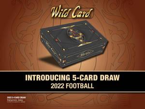Wild Card 2022 年足球交易卡盒，在棕色圖案背景上帶有金色點綴。 — 插畫 壁紙