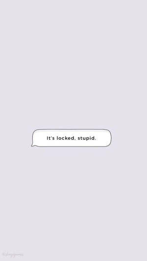 一個對話框，上面寫著「It's locked stupid」，背景為灰色。 — 簡約 壁紙