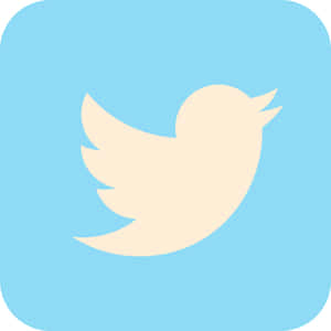 Twitter 標誌鳥圖標在藍色背景上 — 推特 壁紙