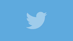 藍色背景上的Twitter鳥標誌 — 推特 壁紙