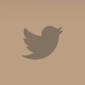 米色背景上的灰色Twitter鳥標誌 — 推特 壁紙