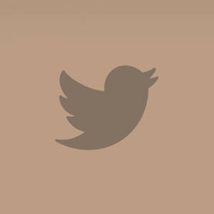 米色背景上的灰色Twitter鳥標誌 — 推特 壁紙