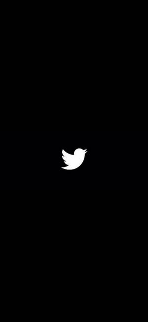 黑色背景上的白色Twitter鳥標誌 — 推特 壁紙