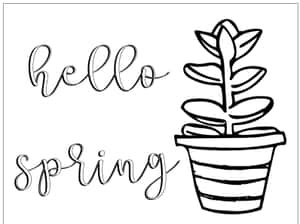 Hello spring 文字旁邊有一盆線條風格的多肉植物。 — 可愛春天 壁紙
