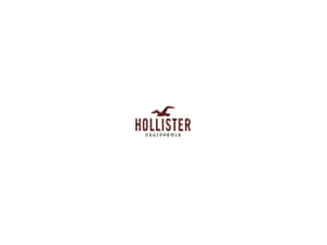 Hollister California標誌，棕色海鷗剪影在白色背景上 — Hollister 壁紙
