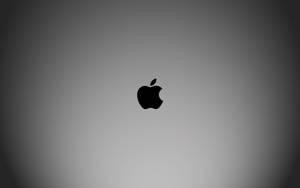 漸變灰色背景上的黑色Apple標誌 — 桌面美學 壁紙