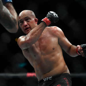 MMA拳手在血跡斑斑的八角籠中揮拳。 — 終極格鬥冠軍賽 壁紙