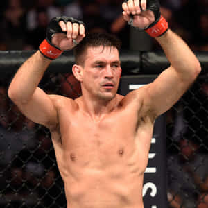 MMA拳手在八角籠中滿臉是血，高舉拳頭慶祝勝利。 — 終極格鬥冠軍賽 壁紙