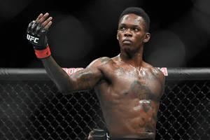 UFC拳手在八角籠內舉手慶祝勝利 — 以色列·阿德桑亞 壁紙