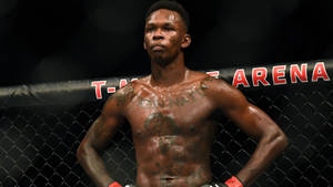 一個堅定的MMA鬥士在比賽後站在八角籠中。 — 以色列·阿德桑亞 壁紙