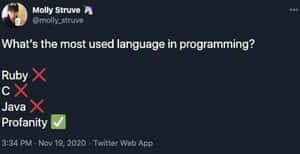 Twitter貼文開玩笑說髒話是最常用的程式語言。 — 搞笑迷因 壁紙