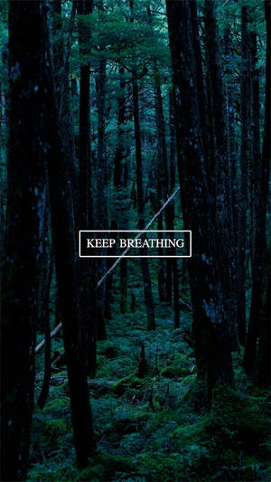 帶有文字 keep breathing 的黑暗森林