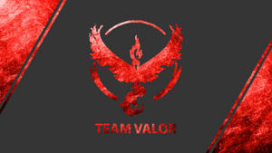 Team Valor標誌，在深灰色背景上以紅色呈現鳳凰和龍。 — 電玩遊戲 GIF 壁紙