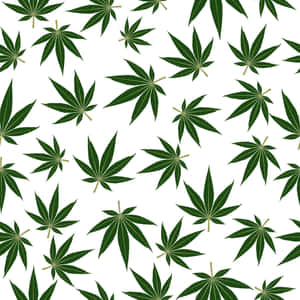 白色背景上重複的大麻葉圖案 — iPad (A16) 壁紙