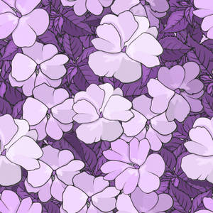 帶有勾勒花瓣和葉子的紫色花卉圖案。 — 花卉 壁紙
