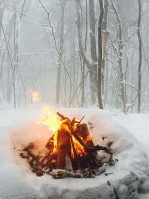 一個營火在白雪皚皚的冬季森林中發光，周圍是光禿禿的樹木。 — 冬季風景 壁紙
