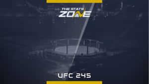 空蕩蕩的競技場中帶有The Stats Zone品牌標識的UFC 245八角籠。 — 終極格鬥冠軍賽 壁紙