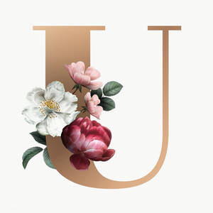 字母U裝飾著盛開的花朵和葉子，色調柔和粉彩。 — 字母e 壁紙