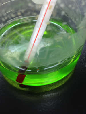 一個裝有綠色液體和溫度計的燒杯，用於科學測量。 — 2048x2732 壁紙