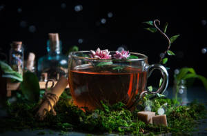 一個玻璃茶杯，在陰暗環境中放在苔蘚上，有花茶和糖 — 花園 壁紙