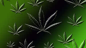 綠色漸變背景上的抽象大麻葉圖案。 — 植物美學 壁紙