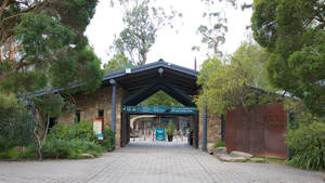多雲天空下，帶有石拱門和綠植的動物園入口