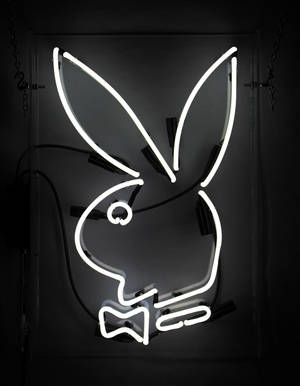 白色霓虹兔子牌帶蝴蝶結，安裝在深色牆上，電線可見。 — Off white 標誌 壁紙