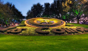 暮色中景觀花園裡的發光花卉鐘和亞特蘭大標誌。 — 草地 壁紙