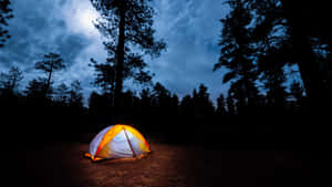 月光下，夜晚黑暗森林中一個亮著的帳篷。 — 森林 壁紙