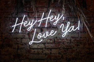 霓虹燈牌寫著 Hey Hey Love Ya 在磚牆上，配有乾燥棕櫚葉。 — 霓虹 壁紙