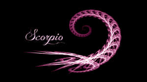 粉紅色碎形蠍子符號，帶有「Scorpio」文字，背景為黑色 — 天蠍座美學 壁紙
