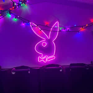 粉紅色霓虹燈 Playboy 兔子標誌，帶有彩色燈串，位於紫色牆上。 — 花花公子 GIF 壁紙