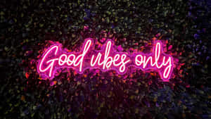 粉紅色霓虹燈牌寫著 Good vibes only 在葉牆上 — 霓虹 壁紙