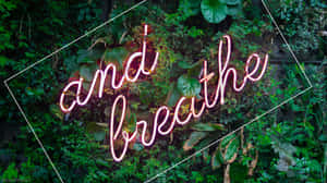 粉紅色霓虹燈牌寫著「and breathe」，被綠色樹葉包圍。 — 最酷的桌面 壁紙