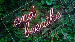 粉紅色霓虹燈牌寫著「and breathe」，被綠色樹葉包圍。 — 桌面美學 壁紙