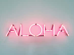 藍色牆上寫有 aloha 的粉紅色霓虹燈牌 — 美學粉色GIF 壁紙