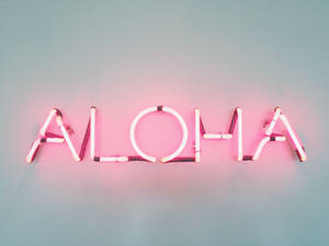 粉紅色霓虹燈牌在藍色牆上拼出 aloha — 粉紅色美學桌面 壁紙