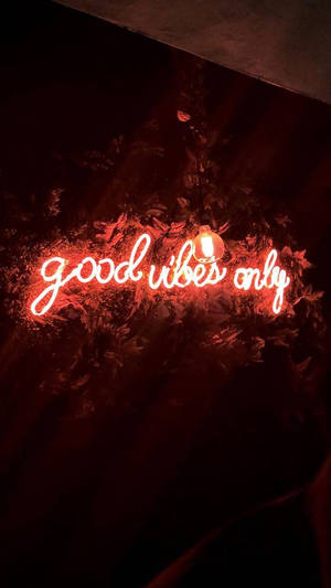 夜晚被深色樹葉包圍的紅色霓虹燈牌，上面寫著 good vibes only。 — 霓虹燈 壁紙