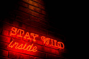 夜晚磚牆上寫著「STAY WILD inside」的紅色霓虹燈牌。 — 霓虹燈 壁紙