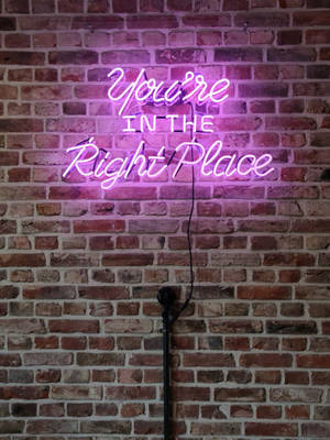 磚牆上寫著 You're IN THE Right Place 的紫色霓虹燈牌。 — 藍色美學電腦 壁紙