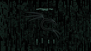 Linux企鵝標誌在綠色數位代碼中落在黑色背景上 — 網路安全 壁紙