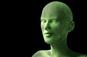 綠色線框人頭和肩膀，黑色背景 — 3D 自然 壁紙