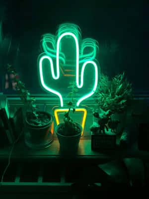 夜間在架子上發光的綠色霓虹仙人掌燈，旁邊有盆栽植物。 — 霓虹 壁紙