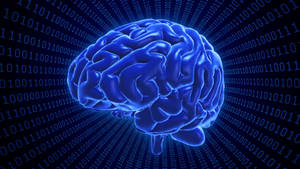 被數位二進制代碼包圍的發光藍色大腦。 — 霓虹紫 壁紙