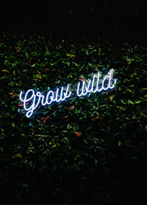 藍色霓虹燈牌，上面寫著 'Grow Wild'，在夜晚的葉牆上。 — OnePlus Pad 壁紙